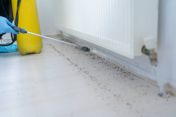 Best Best Pest Control Companies  in Maili, HI